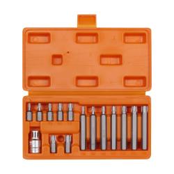 Набор бит вставок TORX 3/8" 30мм и 75мм с держателем бит 1/2" DR 15 предметов в кейсе (AT-B-21)