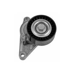 1003C161 Ролик натяжной Citroen C2 C3 C4, Peugeot 307 1.1 1.4 1.6 03