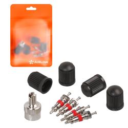 Ремкомплект для вентилей (4 золотника, 4 пласт.колп, 1 ключ) в пакете (ATRS010)