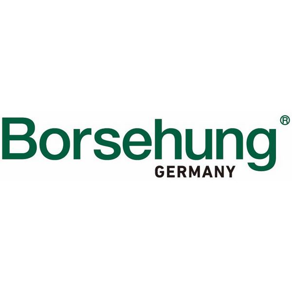 BORSEHUNG