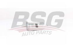 Фильтр топливный AUDI/VW/BMW/PEUGEOT BSG 90-130-015