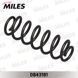 DB43181 Пружина подвески VW GOLF V 03-08 задняя