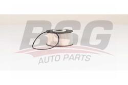Фильтр топливный PEUGEOT 308/CITROEN JUMPY/FORD FOCUS 2.0D 06- BSG 30-130-016