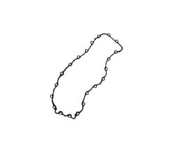 ПРОКЛАДКА КАРТЕРА 30422