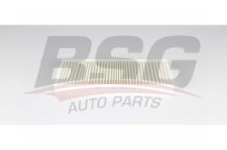 Фильтр салона RENAULT FLUENCE/NISSAN JUKE BSG 75-145-003