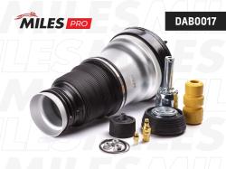 DAB0017 Пневмобаллон MB S-Class W220 99-06 пер.