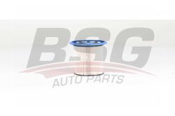 Фильтр топливный VW TOUAREG/PORSCHE CAYENNE 3.0D/4.2D 10- BSG 90-130-034