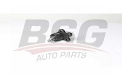 Опора шаровая CHEVROLET CAPTIVA/OPEL ANTARA нижн.лев/прав. BSG 65-310-086