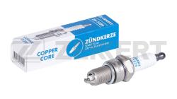 Свеча зажигания (аналог NGK 3028 цена за 1 шт.) Kia Rio 00- Chevrolet Aveo (T250 T255) 05- Daewoo zk-1029