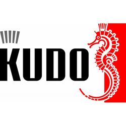 Краска спрей для гладкой кожи коричневая  400 мл. KU-5242