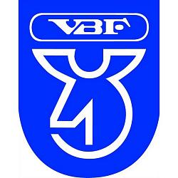 Ролик натяжной 2123,1118-1119, 2190-2192 (830803) АК10Е VBF (Вологда) 830803