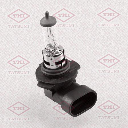 Лампа H10 12V (42W) TFN1008