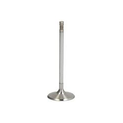 Клапан выпускной VAG r6691/r
