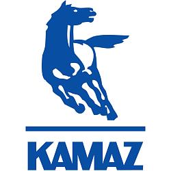 Кольцо упорное заднего моста КАМАЗ-6520 (ОАО КАМАЗ) 65202401039