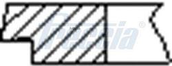 Комплект поршневых колец на 1 цилиндр VOLVO STD d96 fr10-512700