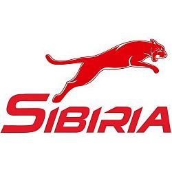 801002 Sibiria Омыватель стекол -20 барбарис 4 л 801002