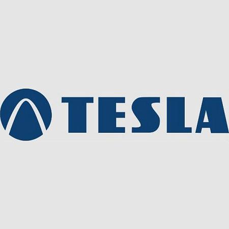 Предохранитель флажковый FN 20А мини (TESLA) FN20A.50