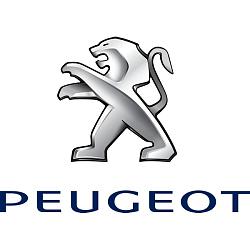 Клипса Крпеления Боковых Peugeot  1622750180