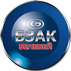 РЫЧАГ МАЯТНИКА ДЛЯ А/М ВАЗ 2121 (НА ПОДШИПНИКАХ) БЗАК 906-305 906305